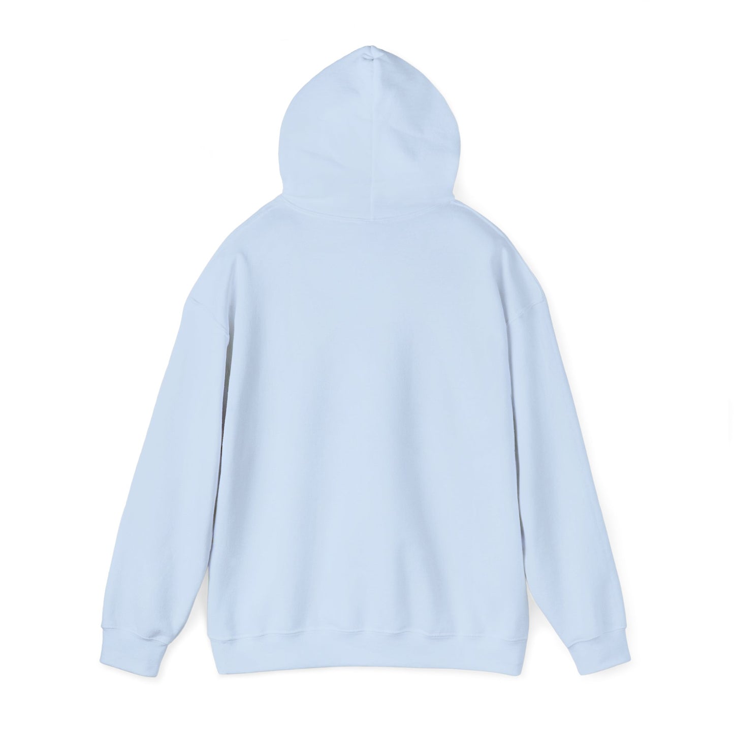 Do Not Disturb Hoodie