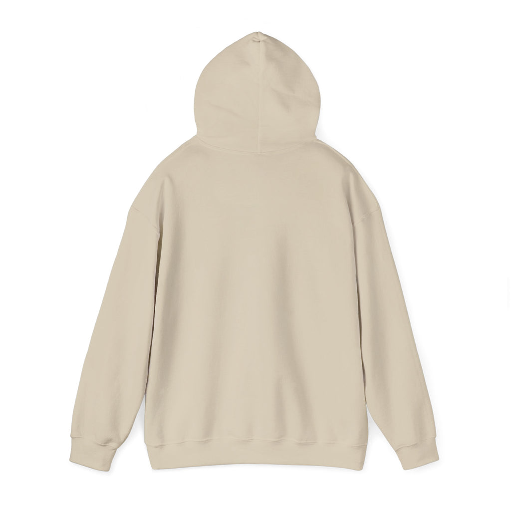 Hoodie — "I Wit You Momma Don't Play Wit" Colorful Money Graphic Hoodie