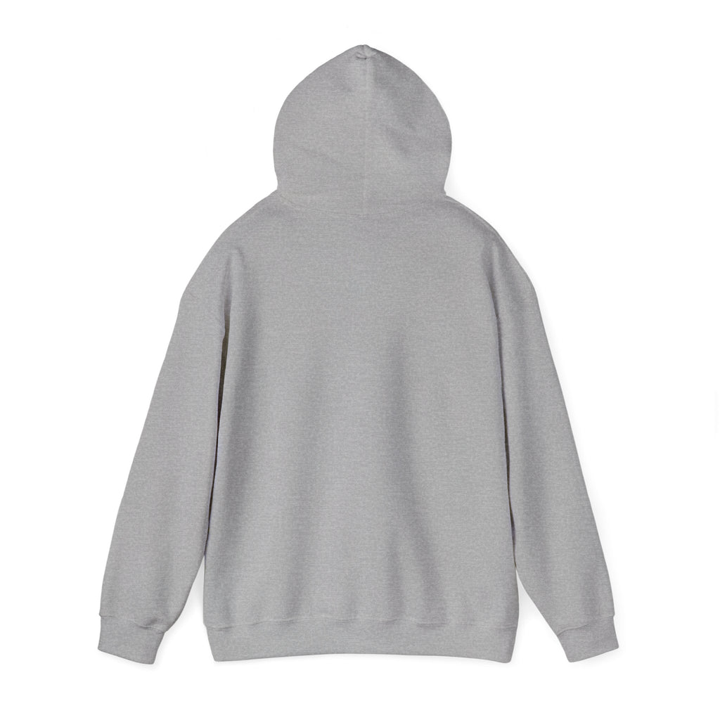 Hoodie — "I Wit You Momma Don't Play Wit" Colorful Money Graphic Hoodie