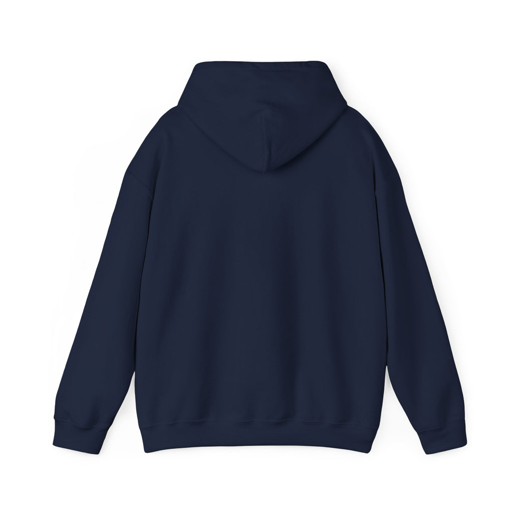 Hoodie — "I Wit You Momma Don't Play Wit" Colorful Money Graphic Hoodie