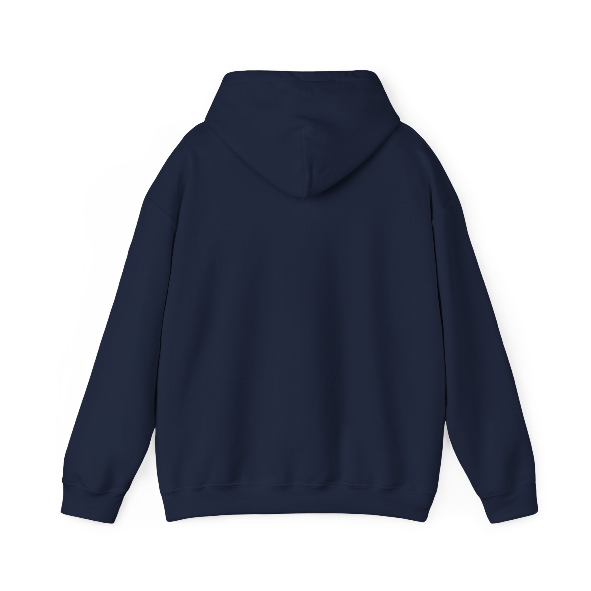 Hoodie — "I Wit You Momma Don't Play Wit" Colorful Money Graphic Hoodie
