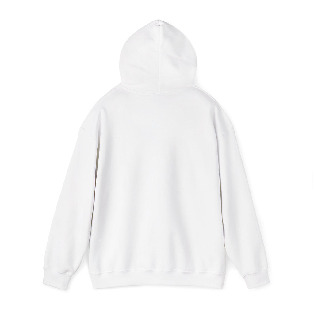 Hoodie — "I Wit You Momma Don't Play Wit" Colorful Money Graphic Hoodie