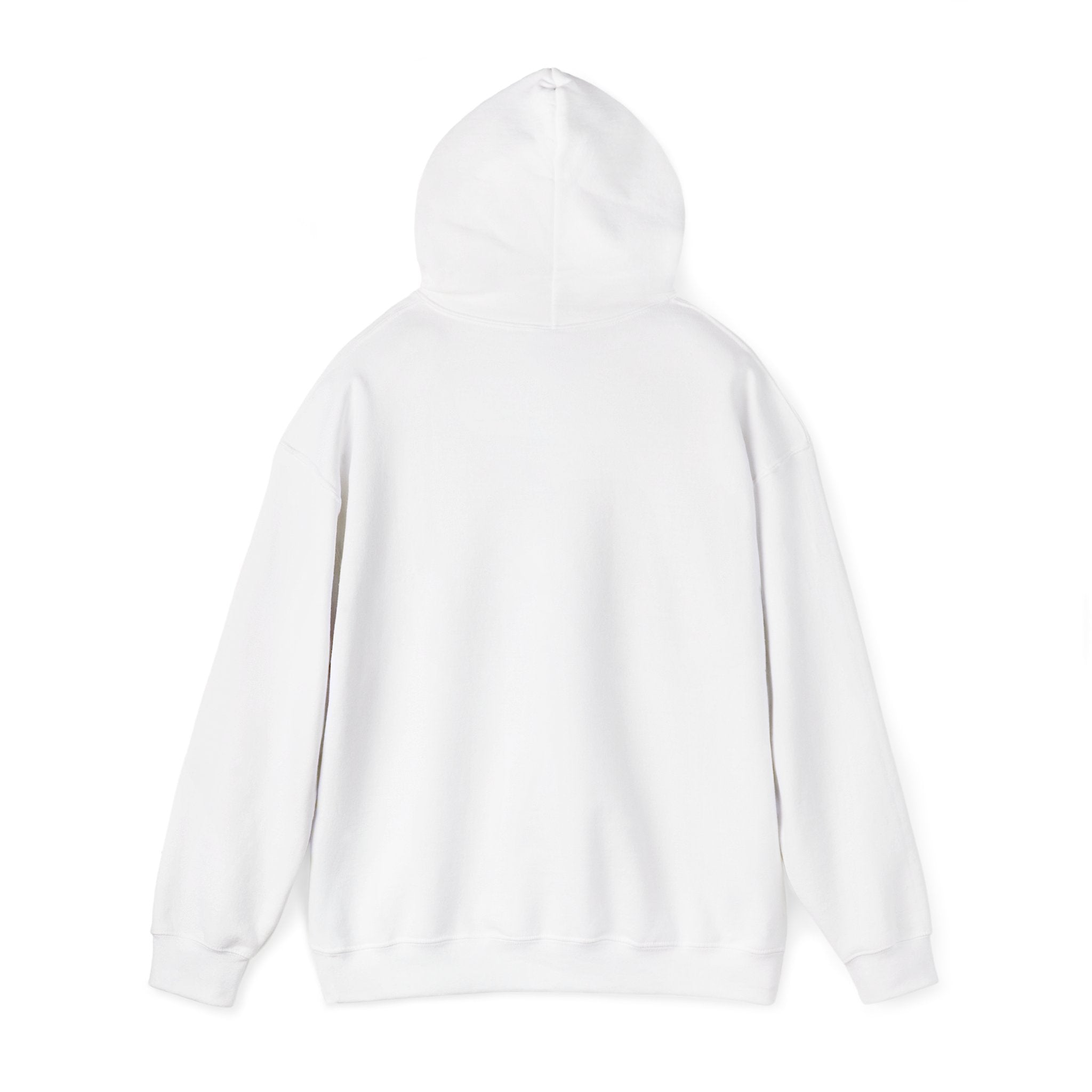 Hoodie — "I Wit You Momma Don't Play Wit" Colorful Money Graphic Hoodie