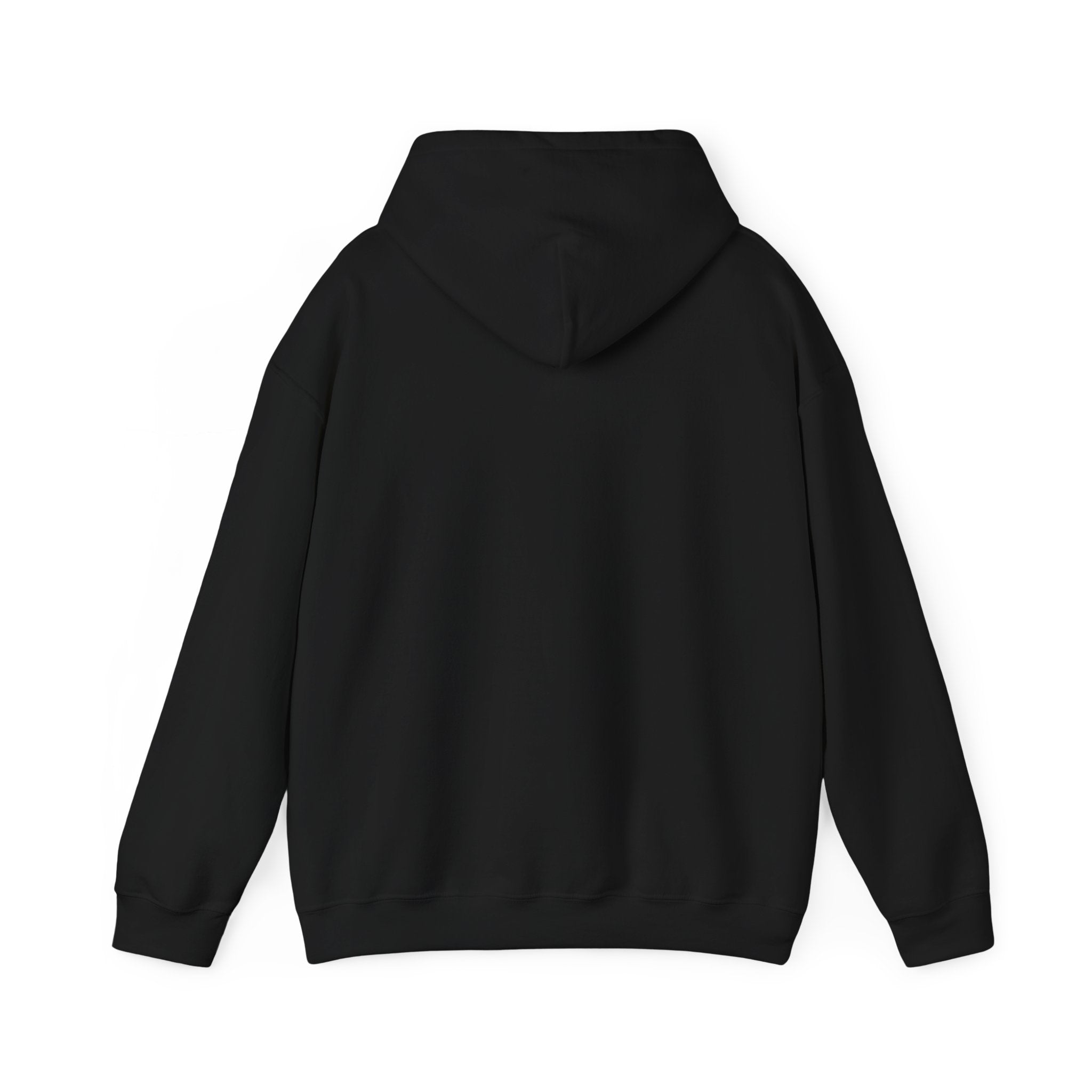 Hoodie — "I Wit You Momma Don't Play Wit" Colorful Money Graphic Hoodie